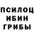 Псилоцибиновые грибы прущие грибы Krishna Dx