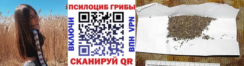 Купить закладки  Приволжск  Галлюциногенные грибы мицелий 